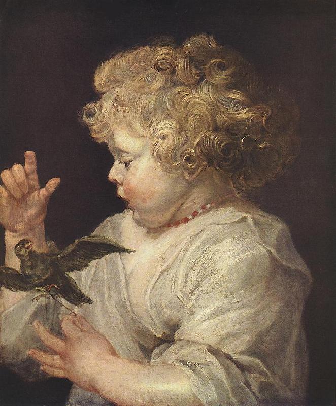 RUBENS, Pieter Pauwel Boy with Bird oil painting image